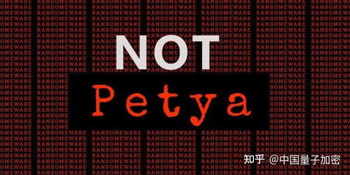 大力發展信息安全技術，積極應對網絡攻擊