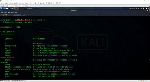 網(wǎng)絡(luò)安全滲透中的客戶(hù)端惡意軟件開(kāi)發(fā) Windows與Linux平臺(tái)